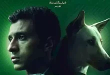 صورة الليلة.. حلقة نقاشية لصناع فيلم “البحث عن منفذ لخروج السيد رامبو” في سينما “زاوية”