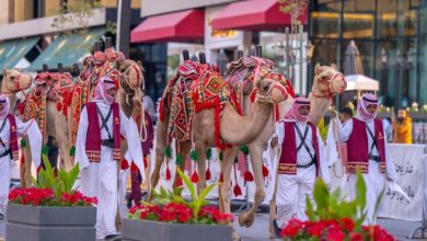 صورة وزارة الثقافة تُطلق المهرجان الختامي لعام الإبل 2024 في الرياض  أخبار السعودية