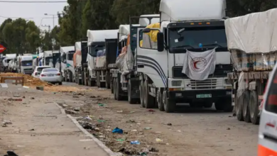 صورة “التنمية الاجتماعية”: نواصل تقديم المساعدات الإنسانية لقطاع غزة رغم الصعوبات