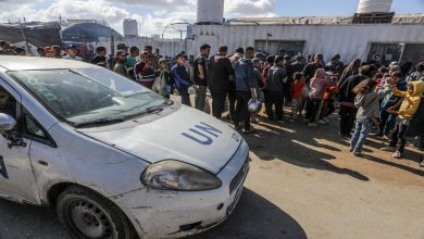 صورة الأمم المتحدة: نشهد انهيار القانون والنظام في غزة والنهب المسلح لإمداداتنا