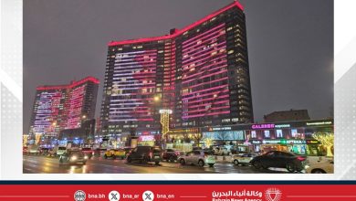 صورة مطارات العاصمة موسكو بروسيا الاتحادية تزدان بعلم مملكة البحرين احتفاءً بالأعياد الوطنية