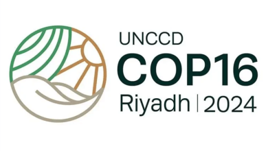 صورة مؤتمر COP16 ينطلق اليوم في الرياض لمواجهة تحديات التصحر والجفاف