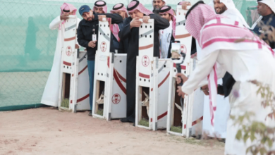 صورة جامعة الملك فيصل تُدشن مبادرة لإطلاق عددٍ من الكائنات الفطرية المُهددة بالانقراض