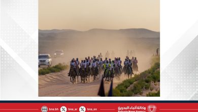 صورة فرسان الإمارات احتلوا المراكز الأولى في البطولة .. الفريق الملكي للقدرة ينهي مشاركته في بطولة المجموعة الإقليمية السابعة للقدرة بأبوظبي