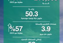 صورة “بلدية دبي” تعزّز الإطلالة الحضارية للإمارة بزراعة 216.500 شجرة خلال 2024