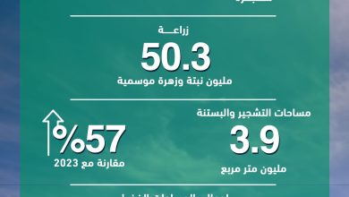 صورة “بلدية دبي” تعزّز الإطلالة الحضارية للإمارة بزراعة 216.500 شجرة خلال 2024