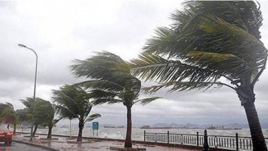 صورة «الأرصاد»: رياح شديدة السرعة على جدة ورابغ والليث  أخبار السعودية