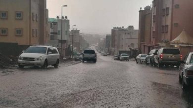 صورة «البيئة» ترصد هطول أمطار في 6 مناطق.. والمدينة المنورة تسجّل أعلى كمية بـ 49.2 ملم في الشفية  أخبار السعودية
