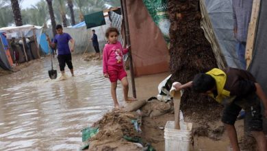 صورة | روسيا تنتقد “اليونيسف”.. “الأطفال في غزة أقل أهمية مقارنة بأطفال أوكرانيا”