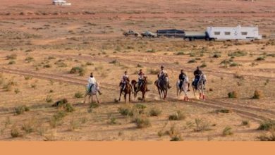 صورة «الغطاء النباتي» بالجوف تحدد 8 مواقع للتخييم في المناطق الربيعية