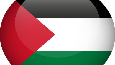 صورة راكب يهودي يهاجم مضيفة طيران لارتدائها دبوسا تضامنا مع الفلسطينيين (فيديو)