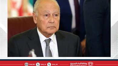 صورة أبو الغيط يدعو العلماء العرب لوضع وثيقة لتنظيم الذكاء الاصطناعي بما يتماشى مع المصالح العربية