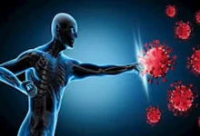 صورة 7 أطعمة تقوي مناعتك في الخريف وتحميك من نزلات البرد