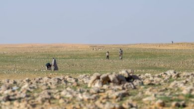 صورة «حرس الحدود» يهيب بهواة الرحلات البرية والباحثين عن «الفقع» عدم الاقتراب من المناطق الحدودية  أخبار السعودية