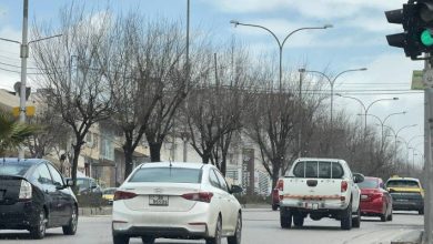 صورة | طقس العرب: الليلة القادمة الأشد برودة على الأردن منذ سنوات ومخاوف من وصول الصقيع إلى الأغوار