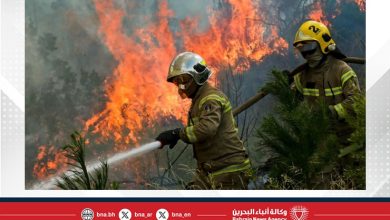 صورة حالة الطوارئ في وسط وجنوب تشيلي بسبب خطر الحرائق الشديدة