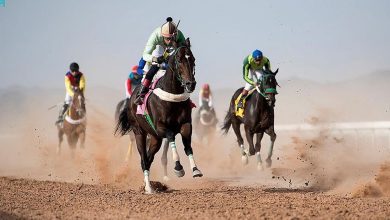 صورة ميدان سباقات الخيل بنجران يُنظم اليوم حفل سباقه العاشر الختامي للموسم الحالي