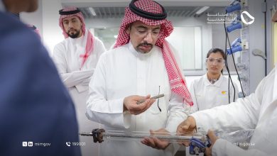 صورة تضمنت توسيع الشراكة وجذب الاستثمارات النوعية.. وزير الصناعة يختتم زيارة رسمية إلى جمهورية الهند