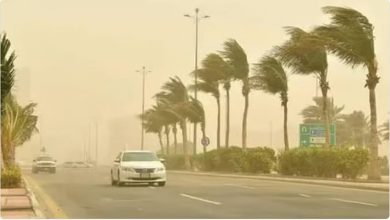 صورة حالة الطقس الثلاثاء.. باردًا إلى شديد البرودة مع نشاط للرياح على عدة مناطق