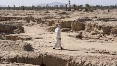 صورة الفلاحة قطاع حيوي في المغرب يواجه تقلبات المناخ للعام السابع على التوالي