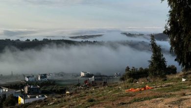 صورة | غيوم تكتسي تلال أم بطيمة وتضفي جمالًا على محافظة المفرق.. فيديو