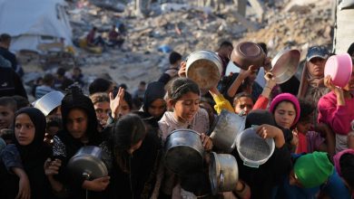 صورة الأمم المتحدة: الوضع في غزة أصبح حرجا على صعيد الغذاء والأساسيات