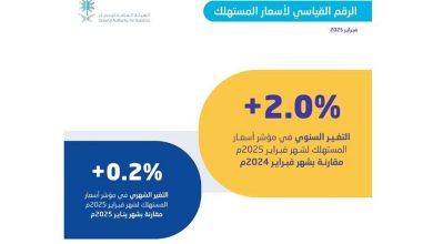 صورة استقرار معدل التضخم في المملكة عند 2.0% خلال شهر فبراير 2025