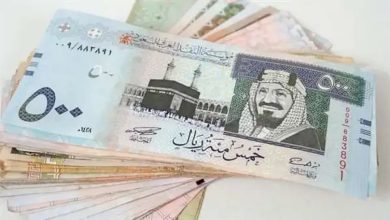 صورة سعر الريال مقابل الجنيه المصري والعملات العربية اليوم الثلاثاء 1891446