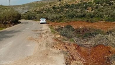 صورة مستعمرون يجرفون عشرات الدونمات غرب سلفيت