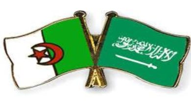 صورة «السعودية ـ الجزائرية» تعزز تعاون النقل البحري والموانئ  أخبار السعودية