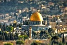 صورة فلسطين: قلبٌ ينبض بالصمود والأمل