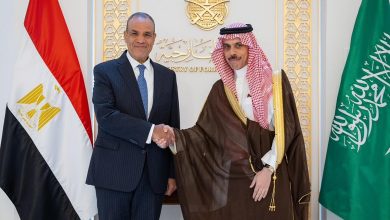 صورة وزير الخارجية ونظيره المصري يبحثان أوضاع قطاع غزة