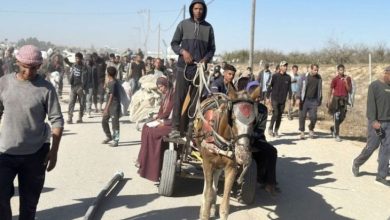 صورة إعلام عبري: الجيش الإسرائيلي هجّر أكثر من 250 ألف فلسطيني من جباليا (فيديو)