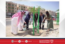 صورة ضمن المرحلة الرابعة من (دُمتِ خضراء).. تشجير شارع المحزورة في المحافظة الجنوبية
