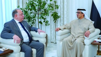 صورة منصور بن زايد يستقبل وزير المالية السوري