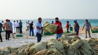 صورة كهرباء دبي تمكن أفراد المجتمع من أداء دورهم البيئي