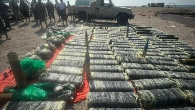 صورة صواريخ وذخائر مهربة وقنابل هجومية بكميات كبيرة تقع في يد حملة أمنية جنوب اليمن.. تفاصيل