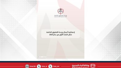 صورة إحصائية أعمال وحدة التحقيق الخاصة خلال الثلث الأول من عام 2025