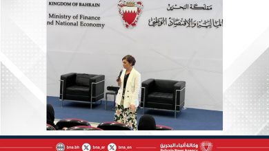 صورة وزارة التنمية المستدامة تعقد ورشة عمل حول آليات احتساب مؤشرات الهدف التاسع المعني بالصناعة والابتكار والهياكل الأساسية