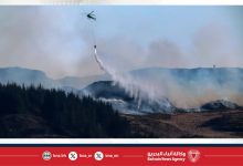 صورة حرائق هائلة تدمر أكثر من 12 ألف فدان جنوبي غربي إنجلترا