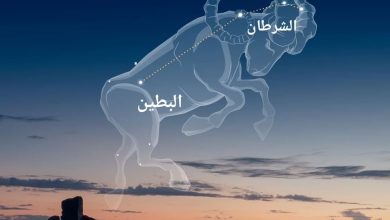 صورة “الإمارات للفلك”.. طلوع “منزلة الشرطان” بدءا من 12 مايو علامة دخول الصيف