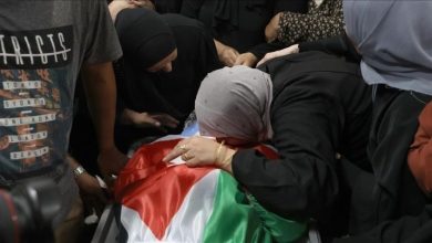 صورة الأمم المتحدة تدعو مجلس الأمن إلى التحرك « لمنع وقوع إبادة » في غزة