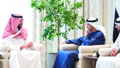 صورة رئيس الدولة وخالد بن سلمان يبحثان تعزيز التعاون