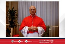 صورة البابا الجديد يؤكد على قدسية الزواج التقليدي وكرامة الحياة من الحمل حتى الشيخوخة