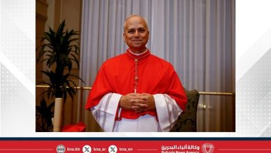 صورة البابا الجديد يؤكد على قدسية الزواج التقليدي وكرامة الحياة من الحمل حتى الشيخوخة