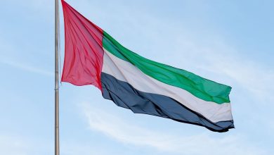 صورة كلمة دولة الإمارات في اجتماع مجلس جامعة الدول العربية على مستوى القمة الدورة العادية (34) ببغداد