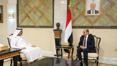 صورة وزير الخارجية يلتقي بالسفير الاماراتي ويناقش معه تنسيق المواقف