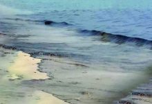 صورة تعليق السباحة مؤقتاً على شاطئ خورفكان بسبب «بقع زيتية»