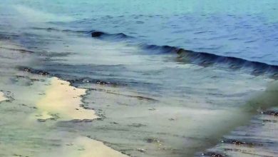 صورة تعليق السباحة مؤقتاً على شاطئ خورفكان بسبب «بقع زيتية»