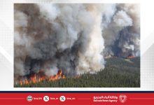 صورة حرائق الغابات الكندية تهدد جودة الهواء في عدة ولايات أمريكية
